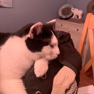 Meet your Posher, Melissa